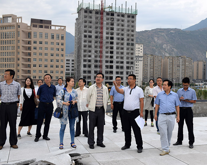 省、市聯(lián)合工作組蒞臨階州廣場檢查指導(dǎo)工作
