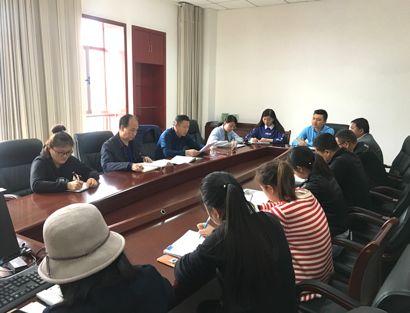 市龍江城鄉(xiāng)發(fā)展集團(tuán)專題學(xué)習(xí)近期中央、省、市紀(jì)律檢查委員會(huì)議精神