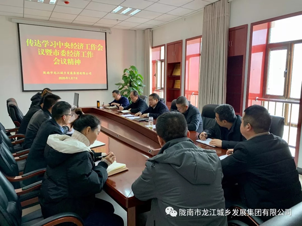 市龍江集團傳達(dá)學(xué)習(xí)市委四屆十次全會暨市委經(jīng)濟工作會議精神
